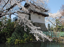 高崎城跡
